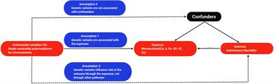 Genetically predicted circulating concentrations of micronutrients and risk of autoimmune thyroiditis: a Mendelian randomized study